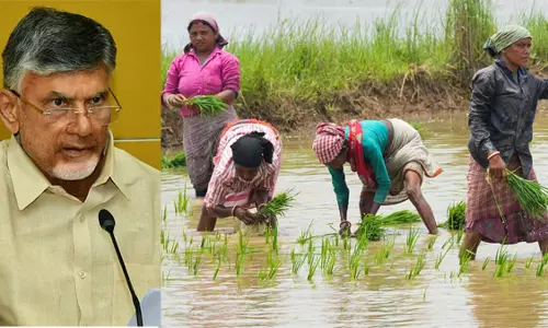 Annadata Sukhibhava: అర్హులైన రైతుల ఖాతాల్లో త్వరలోనే నిధుల జమ Annadata Sukhibhava: అర్హులైన రైతుల ఖాతాల్లో త్వరలోనే నిధుల జమ