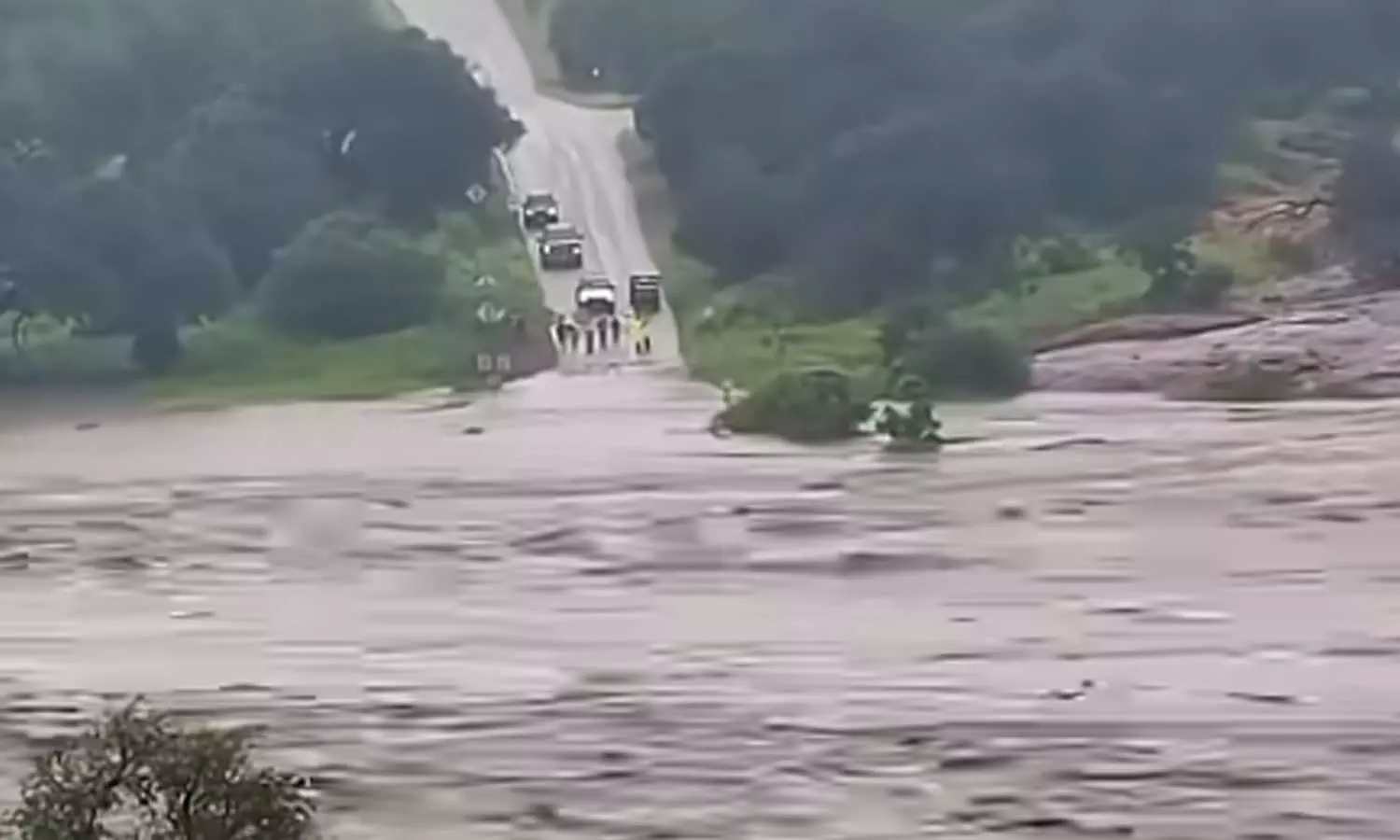 Viral Video Viral Video