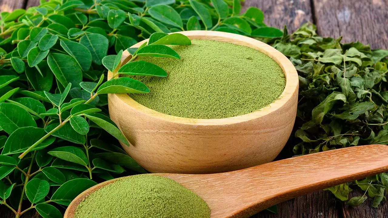 మునగాకు పౌడర్‌తో ఈ ఆరోగ్య సమస్యలన్నీ మాయం..!