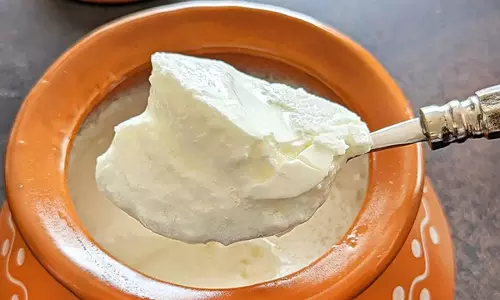 ఉప్పు vs పంచదార: పెరుగు లో ఏది కలిపితే ఆరోగ్యానికి మంచిది? నిపుణుల అభిప్రాయం ఇదే!