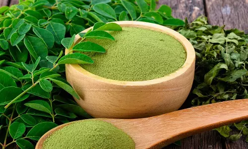 మునగాకు పౌడర్‌తో ఈ ఆరోగ్య సమస్యలన్నీ మాయం..!