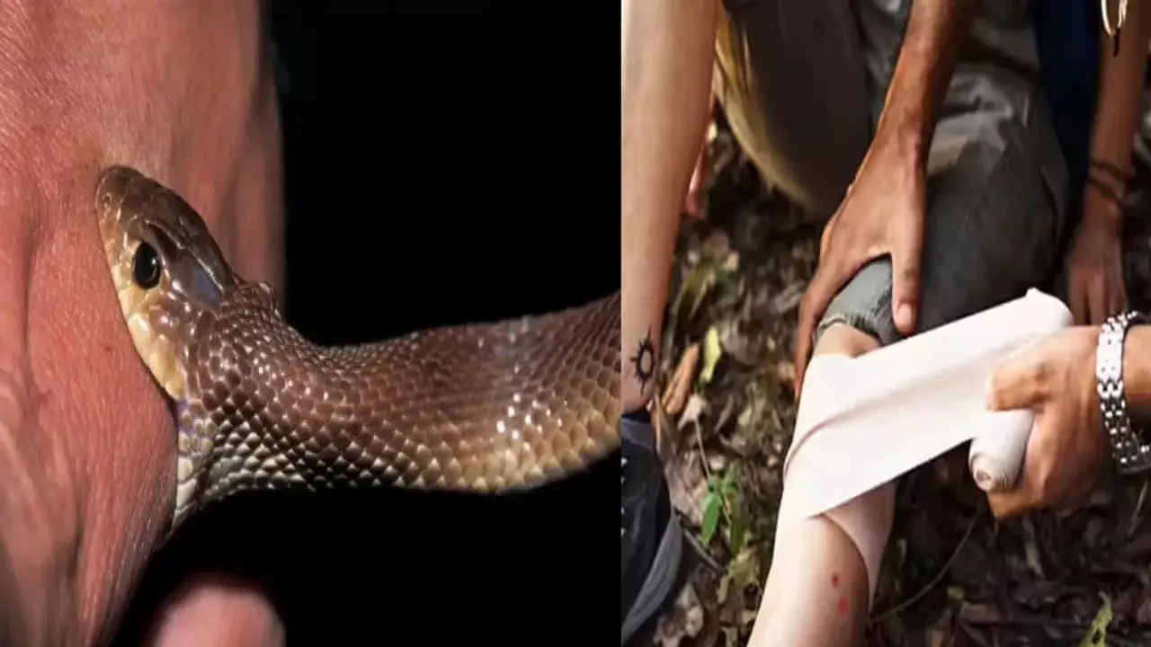 Snakebite: పాము కాటుతో స్కూల్ బాలుడి మృతి .. అధికారుల నిర్లక్ష్యమే కారణం