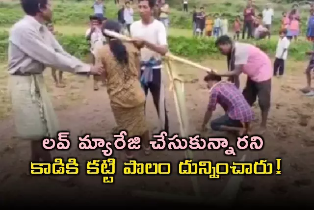Viral Video: లవ్ మ్యారేజి చేసుకున్నారని... ఇద్దరినీ కాడికి కట్టి పొలం దున్నించారు! Viral Video: లవ్ మ్యారేజి చేసుకున్నారని... ఇద్దరినీ కాడికి కట్టి పొలం దున్నించారు!