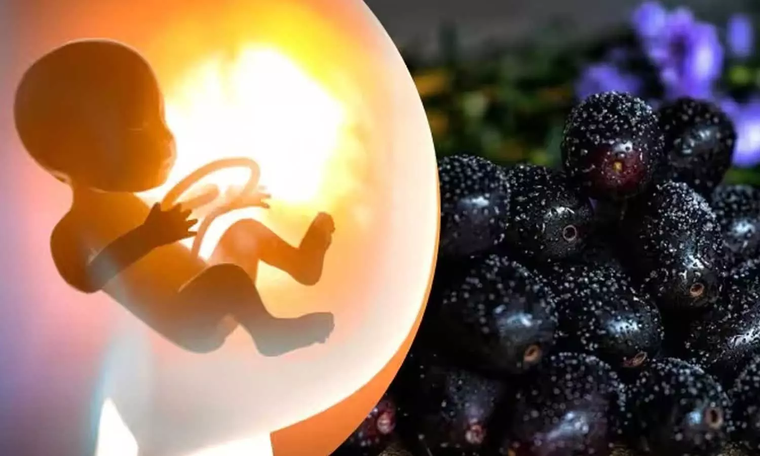 Jamun in Pregnancy Jamun in Pregnancy