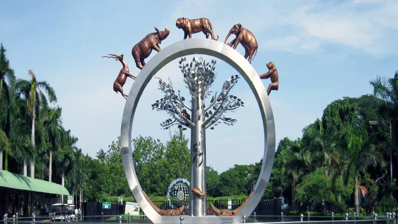 Hyderabad Zoo Park: హైదరాబాదీలకు గుడ్ న్యూస్ – నైట్ సఫారీ మళ్లీ ప్రారంభం