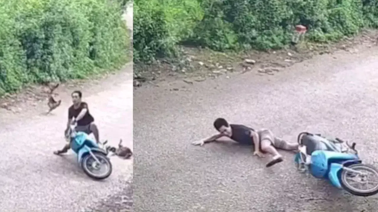 Viral Video: కోడి కారణంగా స్కూటీ రైడర్కు ప్రమాదం – నెట్టింట్లో హల్చల్ చేస్తున్న వీడియో Viral Video: కోడి కారణంగా స్కూటీ రైడర్కు ప్రమాదం – నెట్టింట్లో హల్చల్ చేస్తున్న వీడియో