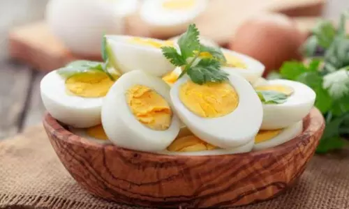 Egg Food Combinations: ఈ ఫుడ్డు + గుడ్డు కలిపి తినండి.. రెట్టింపు ఆరోగ్య ప్రయోజనాలను పొందండి Egg Food Combinations: ఈ ఫుడ్డు + గుడ్డు కలిపి తినండి.. రెట్టింపు ఆరోగ్య ప్రయోజనాలను పొందండి