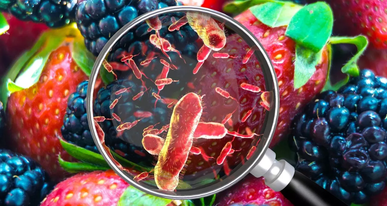 Food Poison: వర్షాకాలంలో పెరుగుతున్న ఫుడ్ పాయిజన్ కేసులు – కారణాలు, నివారణ చిట్కాలు