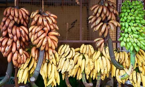 అరటిపండును ఎలా తినాలి? ఎప్పుడు తినాలి? ఎవరు తినకూడదు? అరటిపండును ఎలా తినాలి? ఎప్పుడు తినాలి? ఎవరు తినకూడదు?