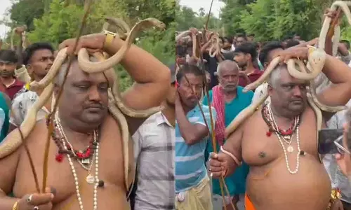 Viral Video Viral Video