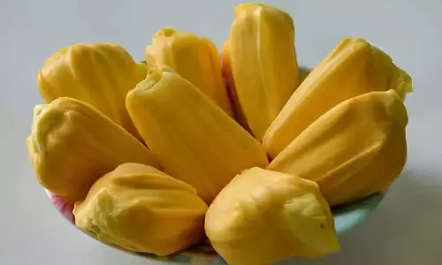Jackfruit Jackfruit
