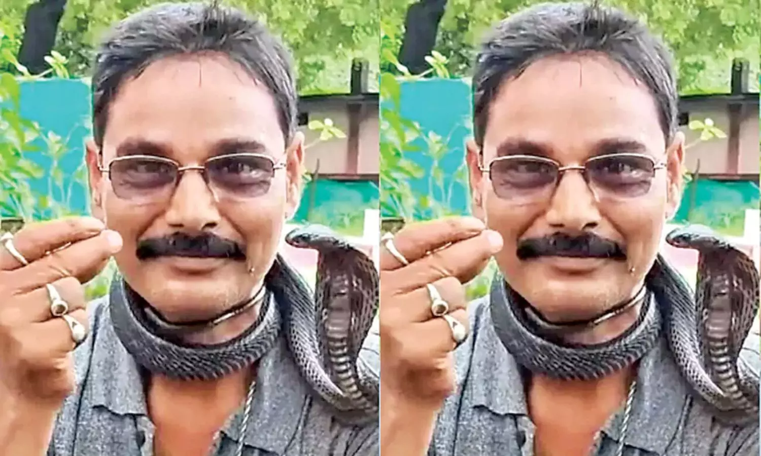 Madhya Pradesh Man Dies After Riding Bike with Cobra Around His Neck Madhya Pradesh Man Dies After Riding Bike with Cobra Around His Neck