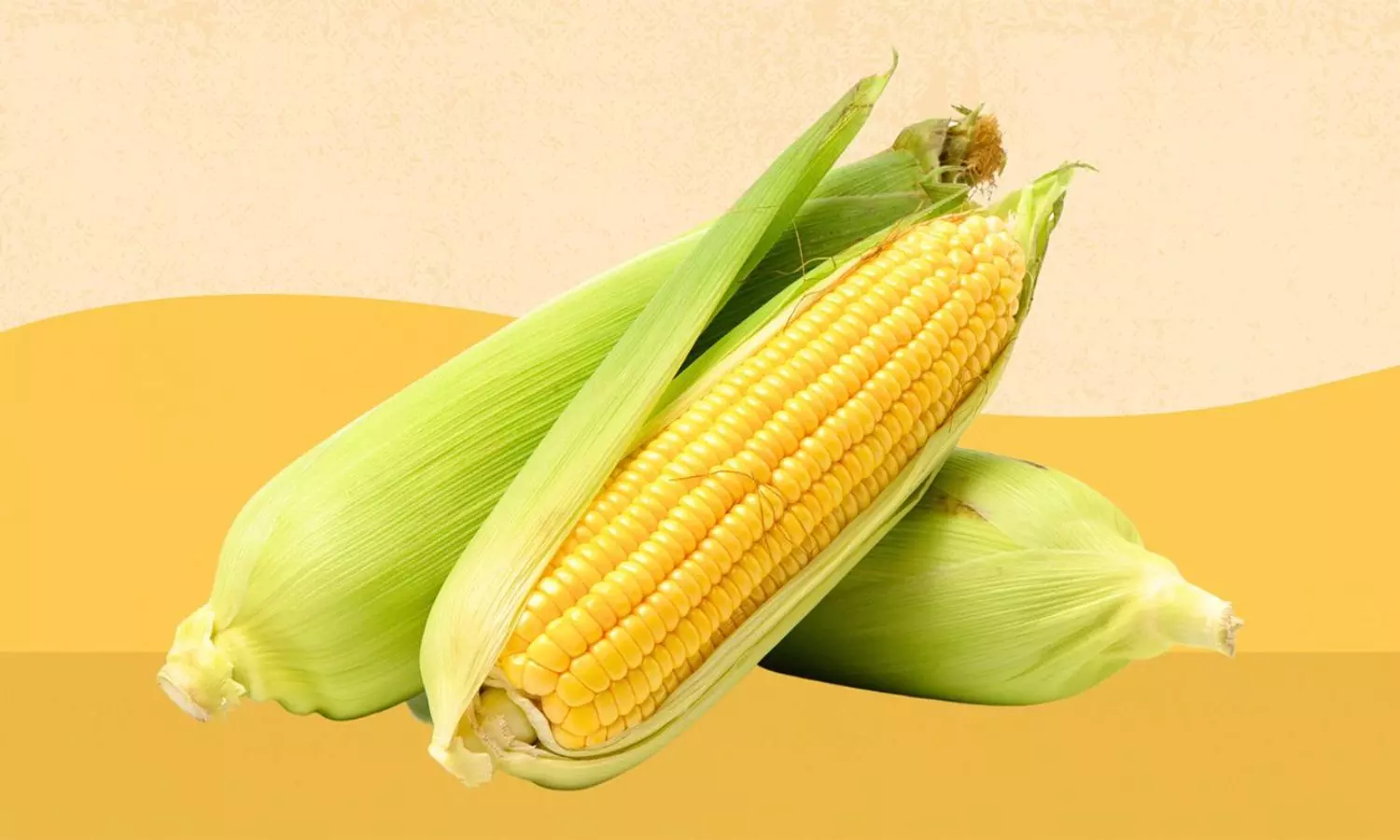 Health Benefits of Sweet Corn Nutrition Uses and Tips Health Benefits of Sweet Corn Nutrition Uses and Tips