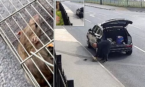 Caught On Camera Caught On Camera