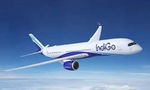 Indigo Monsoon Sale Indigo Monsoon Sale
