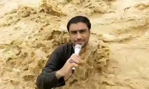 Viral Video Viral Video