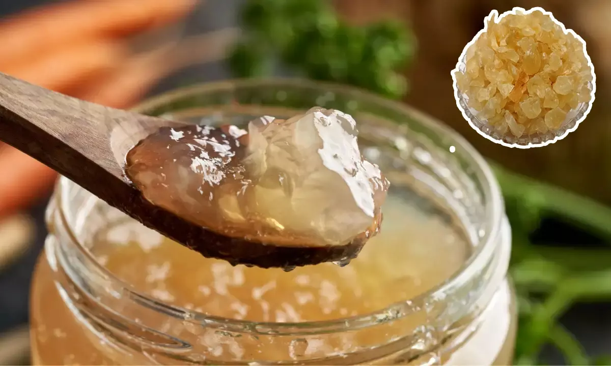 Gond Katira Uses: గోండ్ కటిరా తింటున్నారా? అయితే మీకోసం ఈ సమాచారం Gond Katira Uses: గోండ్ కటిరా తింటున్నారా? అయితే మీకోసం ఈ సమాచారం