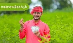 అన్నదాత సుఖీభవ స్కీమ్ తాజా అప్డేట్: వెంటనే ఈ రెండు పనులు పూర్తి చేయండి.. డబ్బులు జమ కావాలంటే తప్పనిసరి!