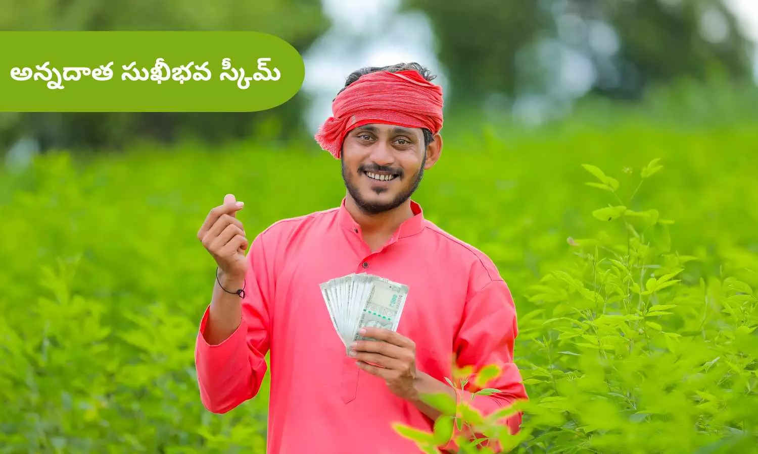 అన్నదాత సుఖీభవ స్కీమ్ తాజా అప్డేట్: వెంటనే ఈ రెండు పనులు పూర్తి చేయండి.. డబ్బులు జమ కావాలంటే తప్పనిసరి!