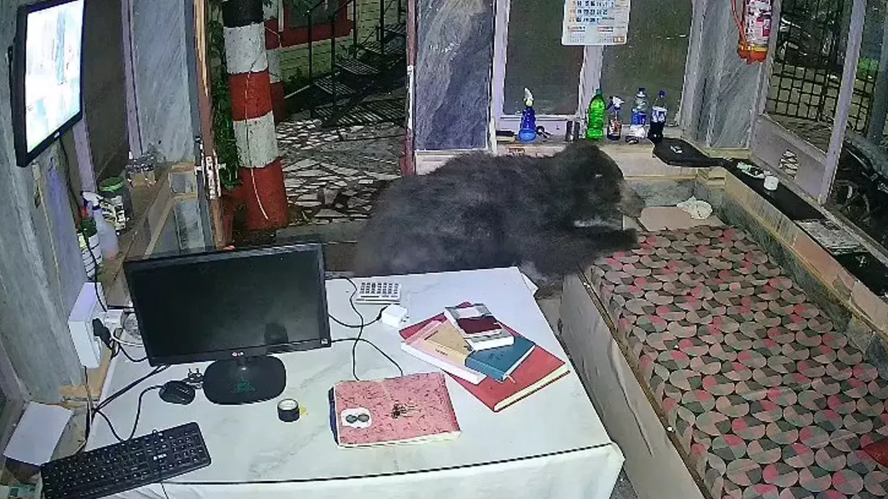 అర్ధరాత్రి హోటల్లోకి అనుమానాస్పద నల్లటి ఆకారం ప్రవేశం.. సీసీ కెమెరాలో రికార్డ్! అర్ధరాత్రి హోటల్లోకి అనుమానాస్పద నల్లటి ఆకారం ప్రవేశం.. సీసీ కెమెరాలో రికార్డ్!