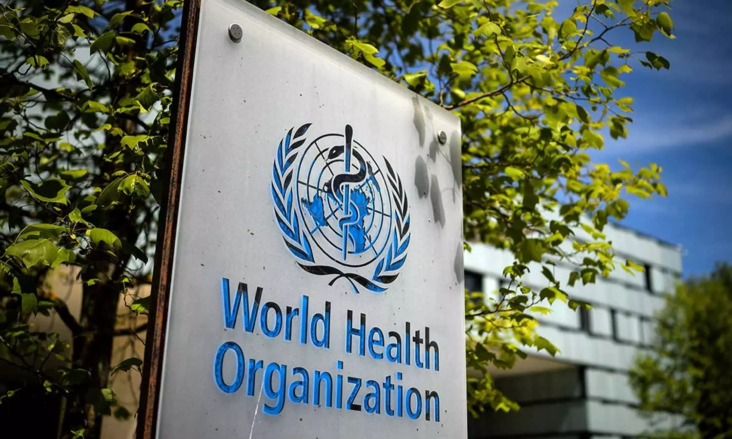WHO On Woman Health WHO On Woman Health