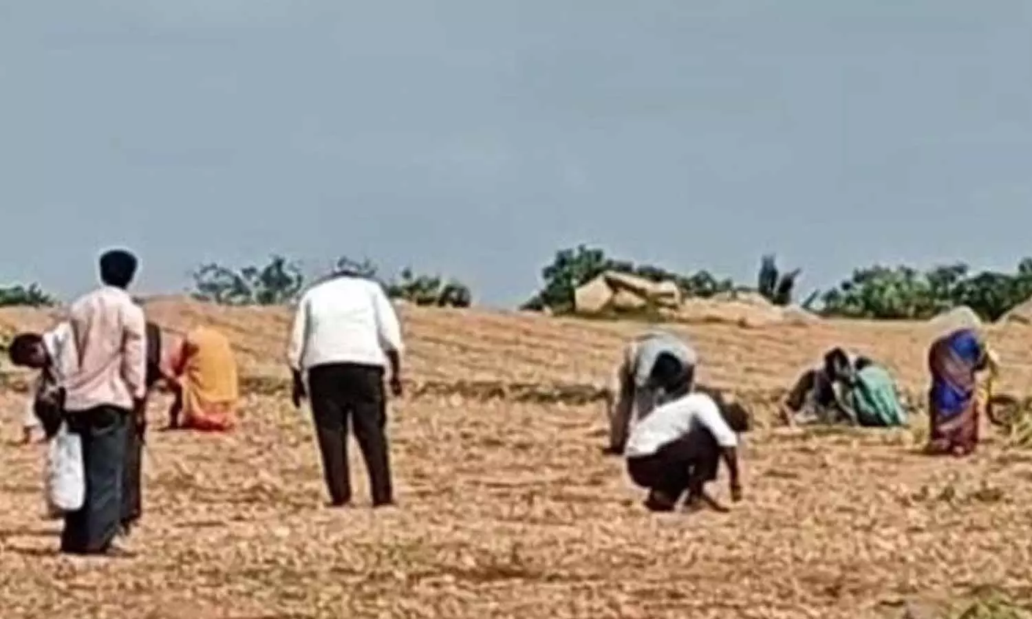 Kurnool Farmer Diamond Found Kurnool Farmer Diamond Found