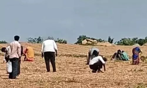 Kurnool Farmer Diamond Found Kurnool Farmer Diamond Found