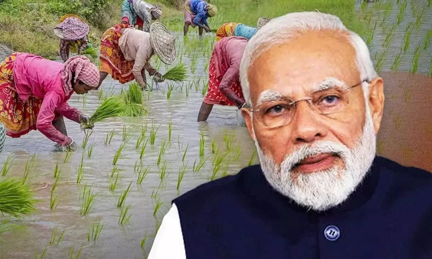 PM Kisan