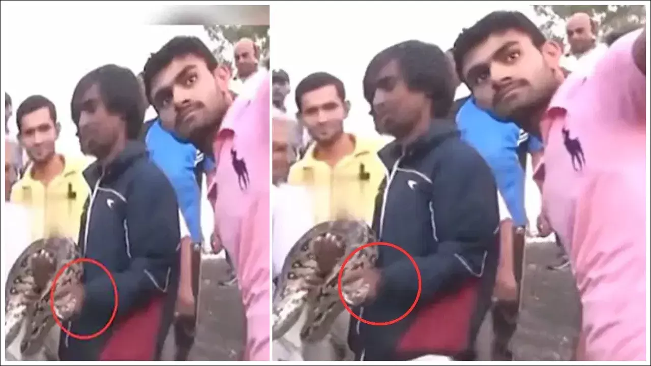 Viral Video: తిక్క హద్దు దాటింది..! కొండచిలువతో సెల్ఫీకి ట్రై.. ఆ తర్వాత జరిగిన దానికి అందరూ షాక్!