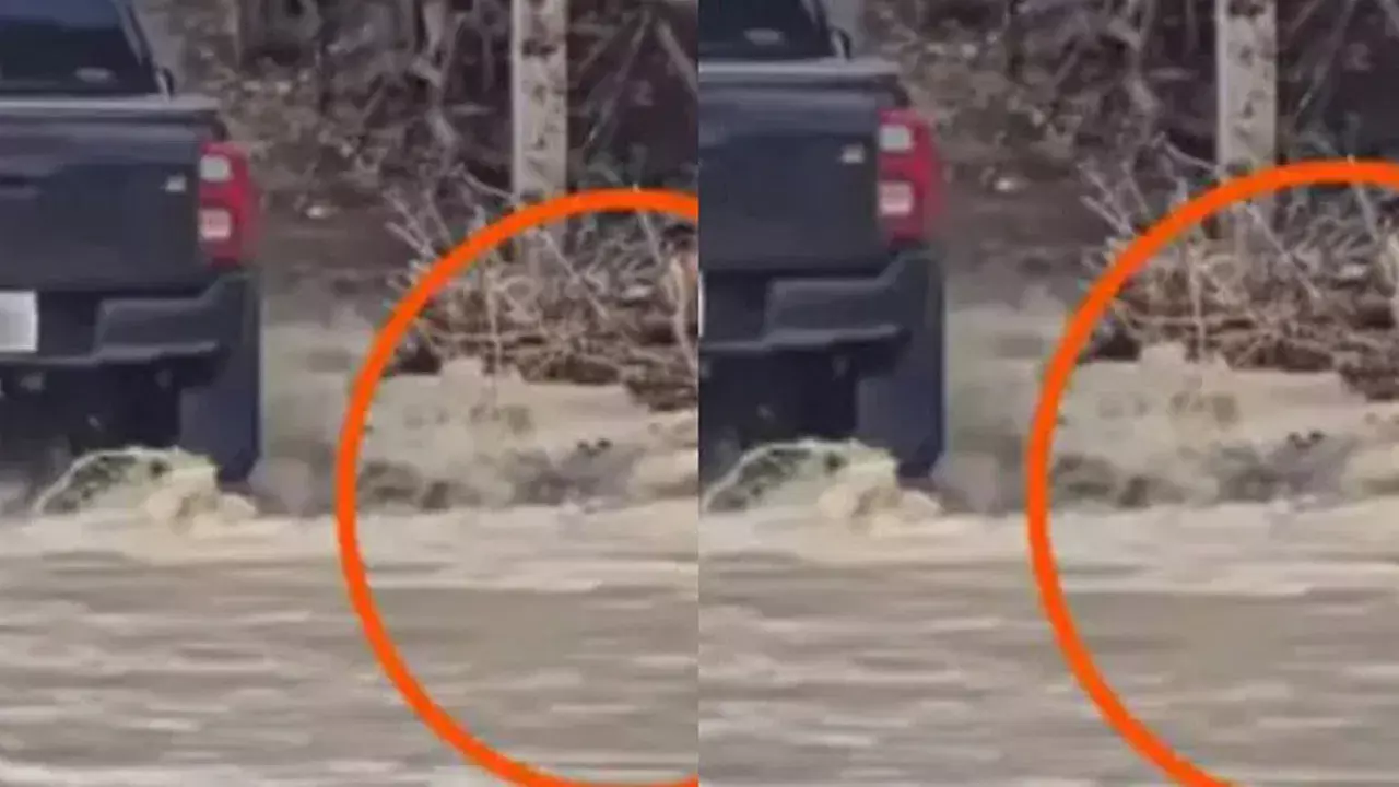 Viral Video: జీపు కిందికి మొసలి.. కదలకుండా ఆపేసిన దృశ్యం నెట్టింట వైరల్!