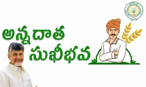 అన్నదాత సుఖీభవ స్కీమ్‌: రేపే రైతుల ఖాతాల్లోకి రూ.7,000 జమ - మీ పేరు ఉందో లేదో చెక్ చేసుకోండి ఇలా!