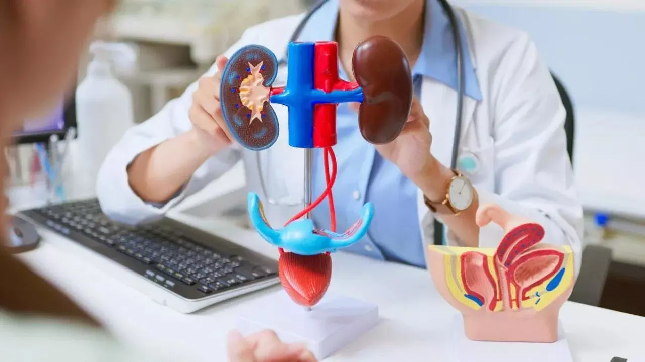 Kidney Infection : కిడ్నీలో ఇన్ఫెక్షన్ ఎందుకు వస్తుంది? లక్షణాలు ఏంటి?
