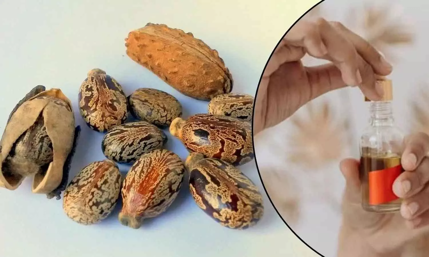 Castor Oil : ఆముదాన్ని ఇలా వాడారో.. జుట్టు, చర్మం నిగనిగలాడాల్సిందే Castor Oil : ఆముదాన్ని ఇలా వాడారో.. జుట్టు, చర్మం నిగనిగలాడాల్సిందే