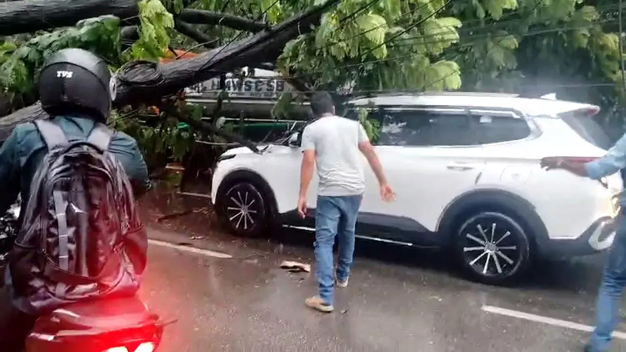 హైదరాబాద్లో కుండపోత వర్షం… వాహనాలపై పడిన భారీ చెట్టు హైదరాబాద్లో కుండపోత వర్షం… వాహనాలపై పడిన భారీ చెట్టు