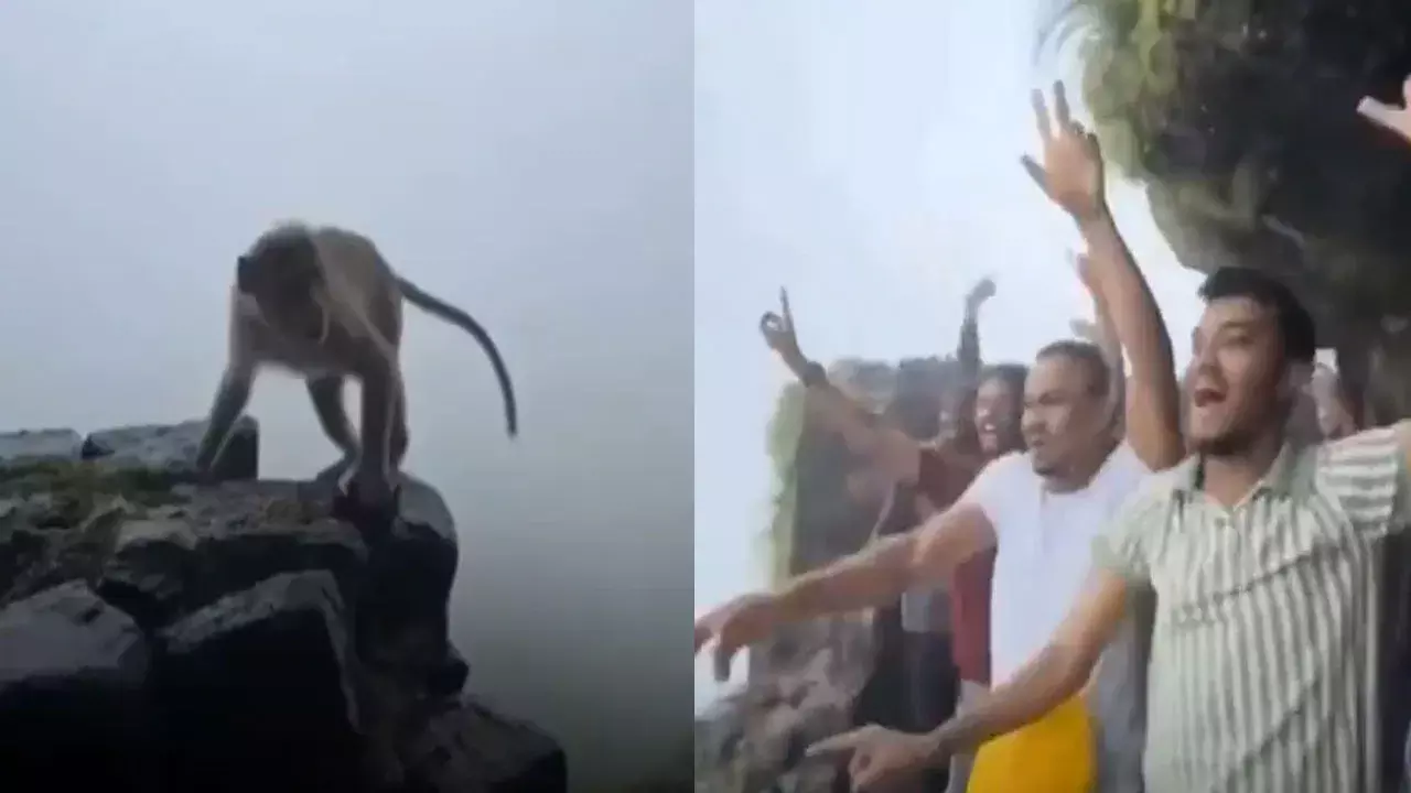 Viral Video: వీళ్లెవరండి బాబు... నాకంటే ఘోరంగా ఉన్నారు! Viral Video: వీళ్లెవరండి బాబు... నాకంటే ఘోరంగా ఉన్నారు!