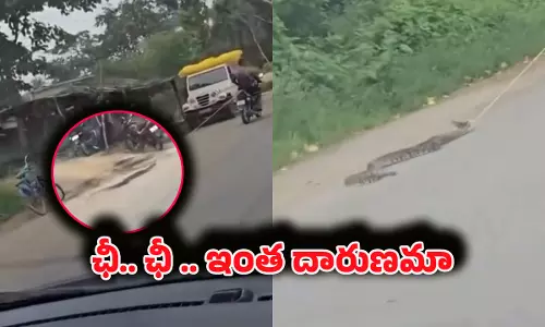 Viral Video: నువ్వు మనిషివేనా?.. పాముని తాడుతో బైక్‌కు కట్టేసి రోడ్డుపై లాగుతూ వెళ్తున్న యువకుడు!