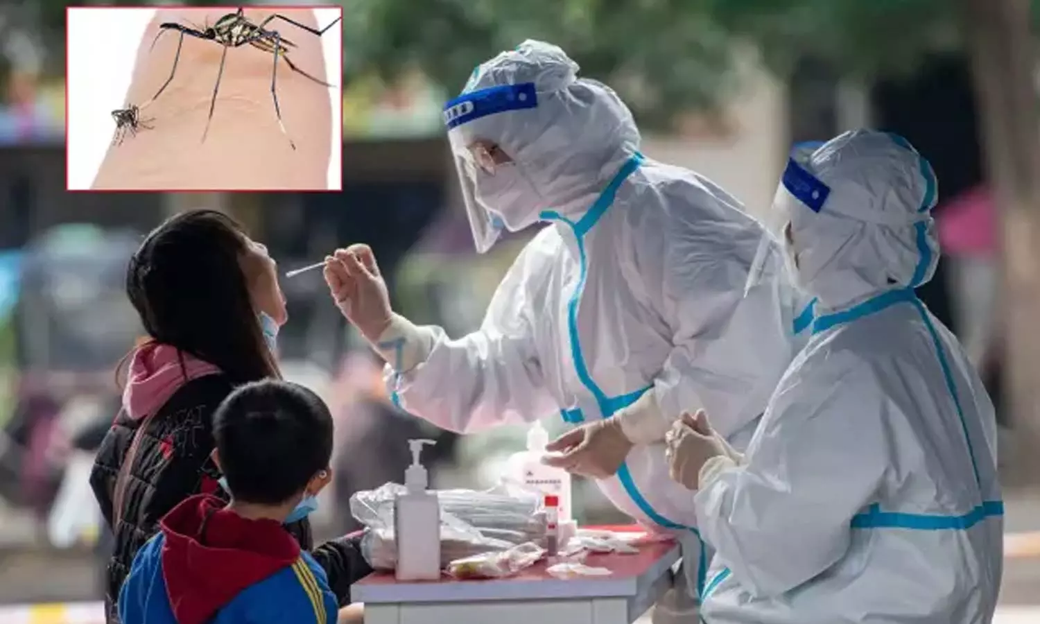 Elephant Mosquitoes: చైనాలో వైరస్పై యుద్ధానికి రంగంలోకి ఎలిఫెంట్ దోమలు..! Elephant Mosquitoes: చైనాలో వైరస్పై యుద్ధానికి రంగంలోకి ఎలిఫెంట్ దోమలు..!