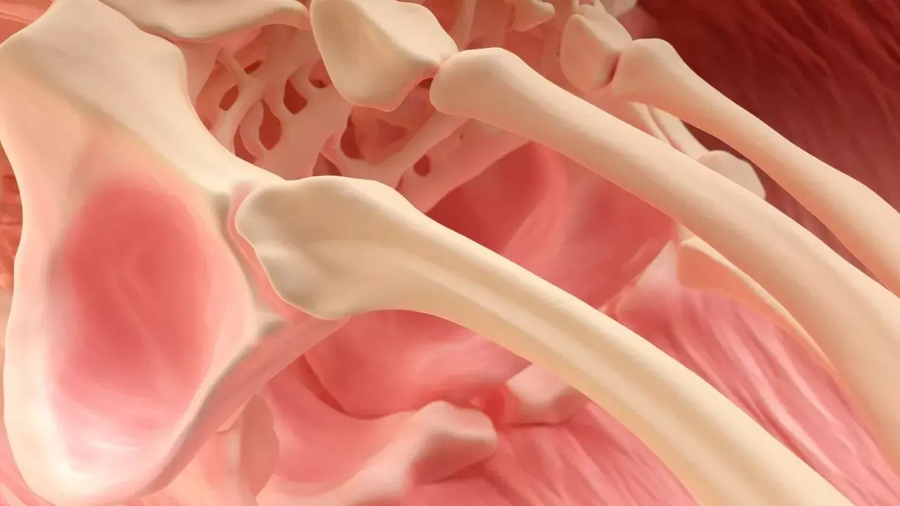 Bone Health: మీ అలవాట్లు బొక్కలు ఇరగడానికి కారణమవుతాయా?.. వెంటనే జాగ్రత్తపడండి!