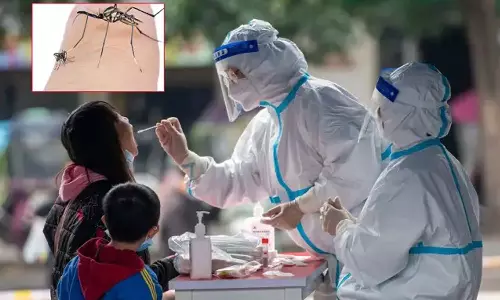 Elephant Mosquitoes: చైనాలో వైరస్పై యుద్ధానికి రంగంలోకి ఎలిఫెంట్ దోమలు..! Elephant Mosquitoes: చైనాలో వైరస్పై యుద్ధానికి రంగంలోకి ఎలిఫెంట్ దోమలు..!