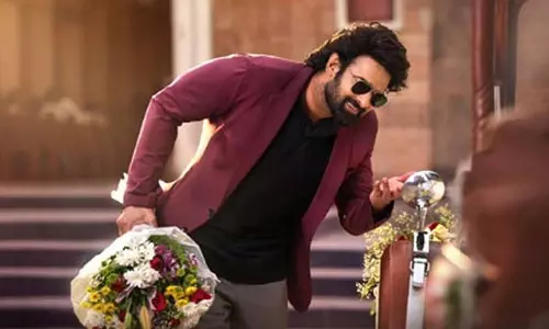 The Raja Saab: ది రాజా సాబ్ 2 పక్కా.. కానీ సీక్వెల్ మాత్రం కాదు: టీజీ విశ్వప్రసాద్