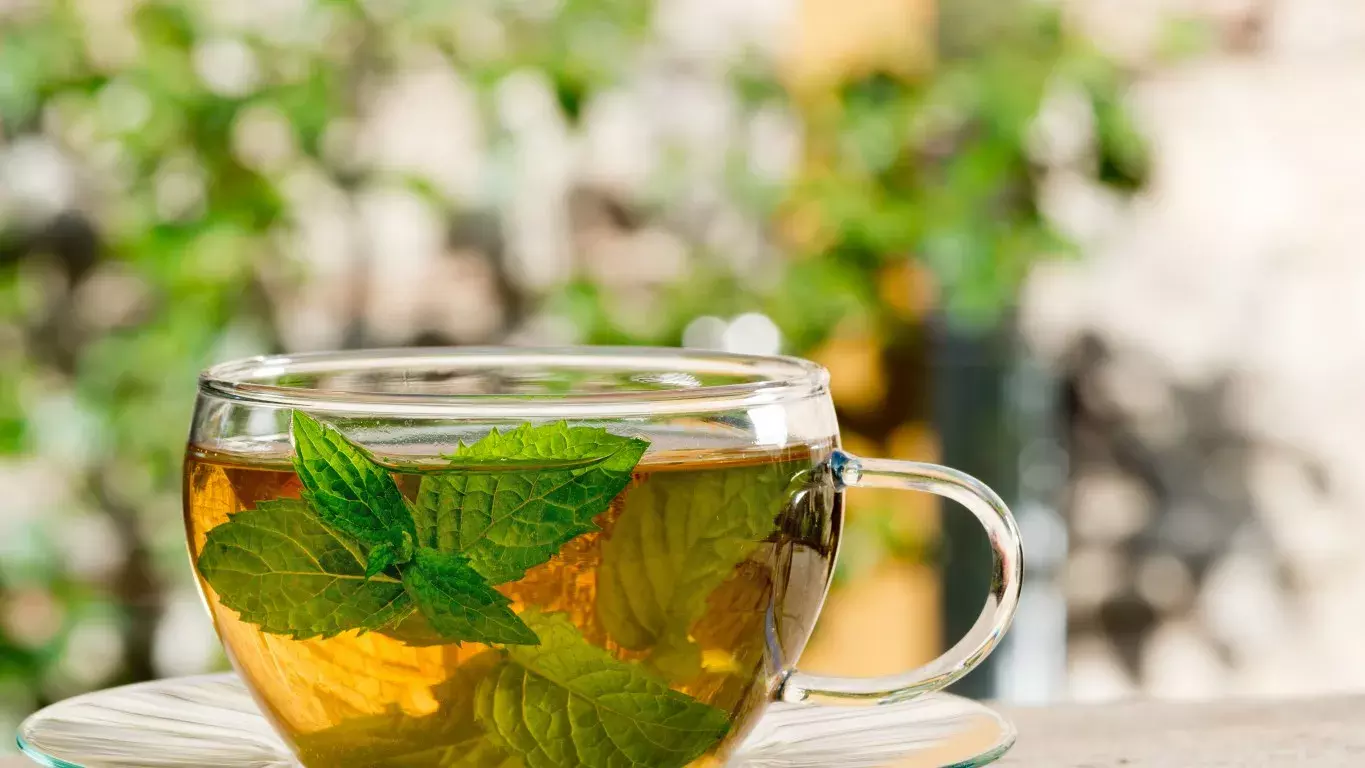 Mint Tea: పుదీనా టీ తాగితే కలిగే అద్భుతమైన ఆరోగ్య ప్రయోజనాలు ఇవే! Mint Tea: పుదీనా టీ తాగితే కలిగే అద్భుతమైన ఆరోగ్య ప్రయోజనాలు ఇవే!