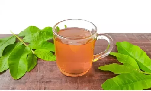 Guava Leaves Tea: టీ, కాఫీ కి చెక్ పెట్టాలి అంటే ఈ జామకుల టీ తాగాల్సిందే..!