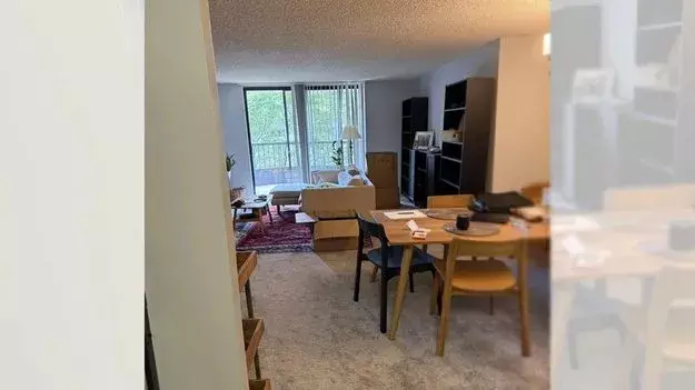 Optical Illusion: మీ చూపు ఎంత పదునో పరీక్షించుకోండి – ఈ చిత్రంలో దాక్కున్న కుక్కను 20 సెకన్లలో గుర్తించగలరా?