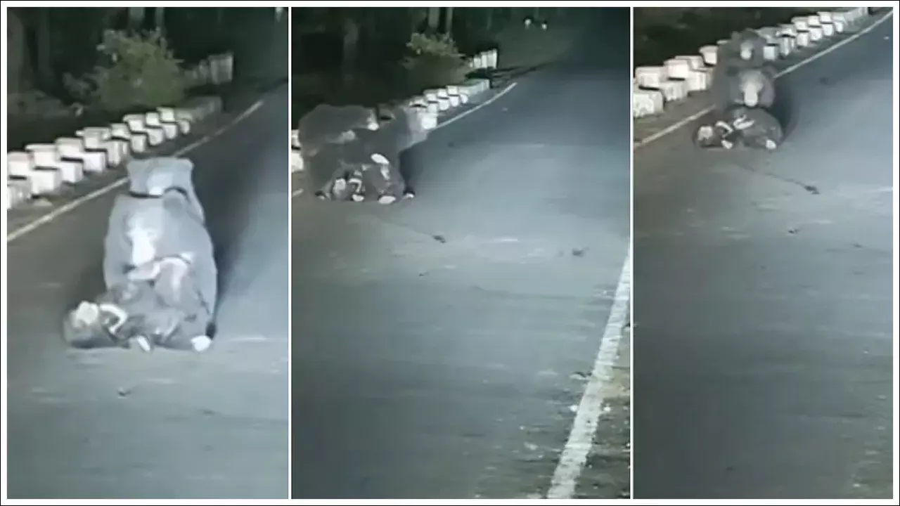 Viral Video: ఇలాంటి బాధ ఏ తల్లికి రాకూడదు.. ఈ వీడియో చూస్తే కన్నీళ్లు ఆగవు!