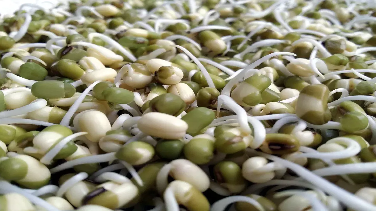 Health Tips: రోజంతా ఎనర్జిటిక్‌గా ఉండాలంటే.. బ్రేక్‌ఫాస్ట్‌లో వీటిని తప్పక చేర్చుకోండి