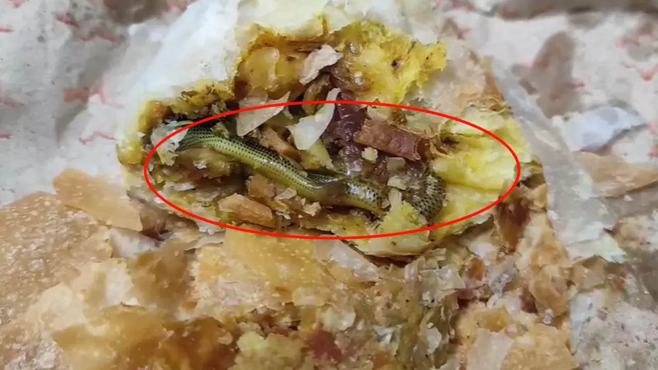 Viral News: వామ్మో ఇదేం భయంకరమ్రా బాబు.. మహిళ తింటున్న కర్రీపఫ్లో పాము! తర్వాత ఏం జరిగిందంటే… Viral News: వామ్మో ఇదేం భయంకరమ్రా బాబు.. మహిళ తింటున్న కర్రీపఫ్లో పాము! తర్వాత ఏం జరిగిందంటే…