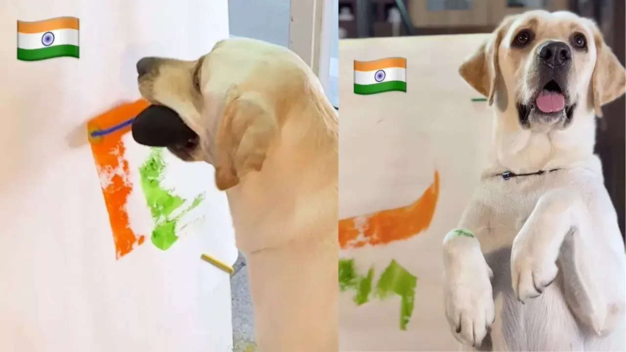 Viral Video: త్రివర్ణ పతాకాన్ని పెయింట్ చేసిన కుక్క… శునకం దేశభక్తికి నెటిజన్స్‌ వావ్!