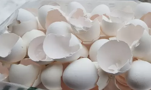 Egg Shells: గుడ్డు పెంకులు – పారేయకండి, ఉపయోగించండి!