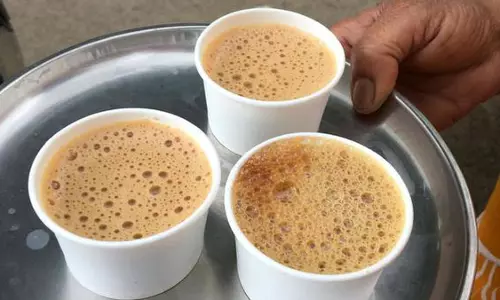 Plastic and Paper Cups: ప్లాస్టిక్/పేపర్ గ్లాసుల్లో కాఫీ, టీ తాగుతున్నారా? ఆరోగ్యానికి, పర్యావరణానికి ముప్పు!