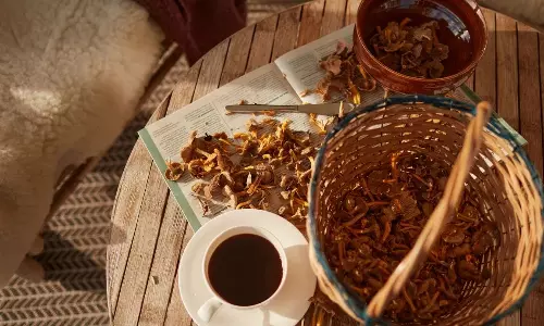 If you know about the health benefits of mushroom coffee, you will not miss it If you know about the health benefits of mushroom coffee, you will not miss it